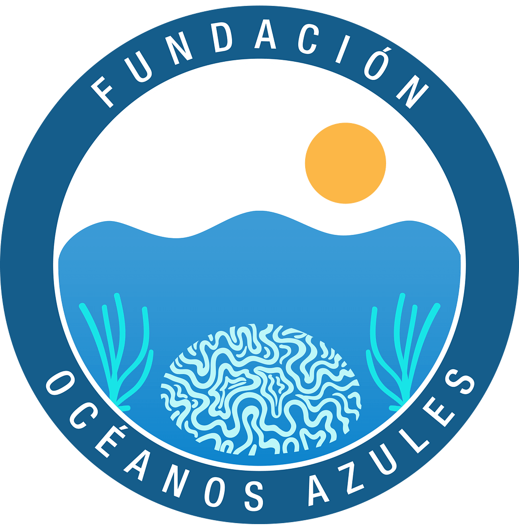 fundacionoceanosazules.com